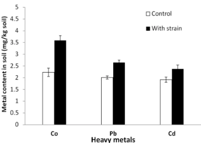 Fig. 4. Effect on mobilization of Co, Pb and Cd in soil by  inoculation with Shewanella xiamenensis HM14