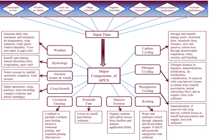 Fig. 1. Major components of APEX (agricultural Policy and Environmental eXtender) model.