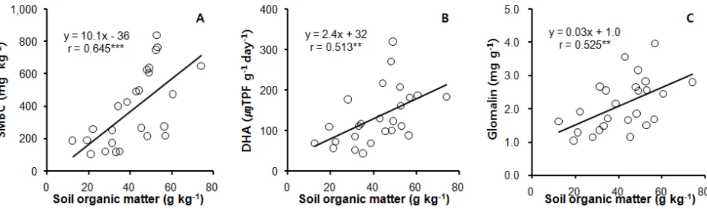 Fig. 1. Relationship between soil organic matter and soil microbial biomass Carbon (SMBC, A), dehydrogenase activity (DHA, B),  and glomalin (C) in controlled horticultural soils.