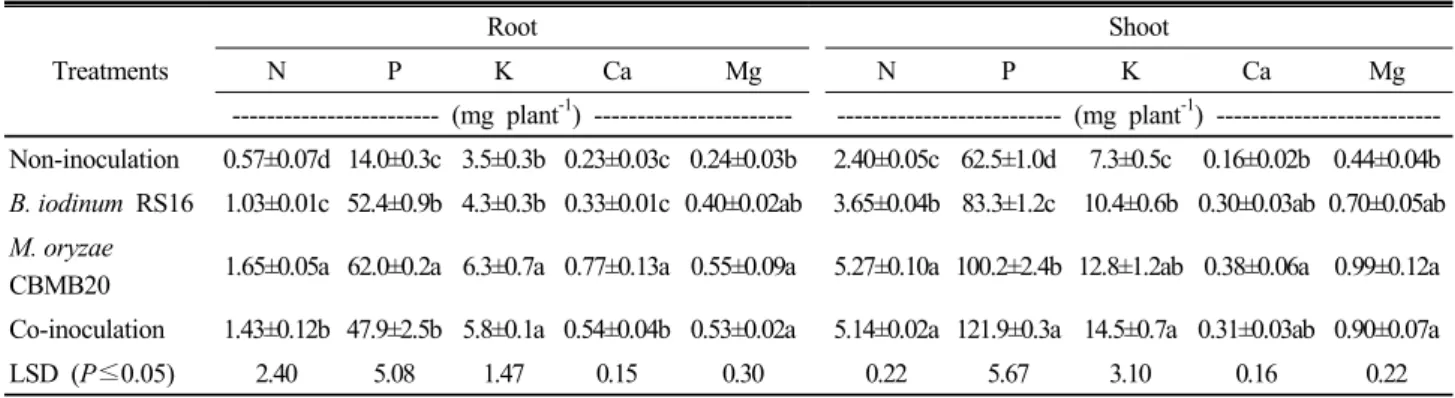 Table 2. Effect of B. iodinum RS16 and M. oryzae CBMB20 on macro-nutrient accumulation in root and shoot of sorghum-  sudangrass hybrid
