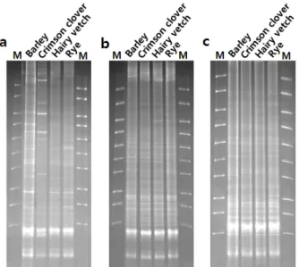 Fig. 1. DGGE analysis of 16S rDNA V3 region obtained after  PCR amplification with eubacterial primers 352T and 519r