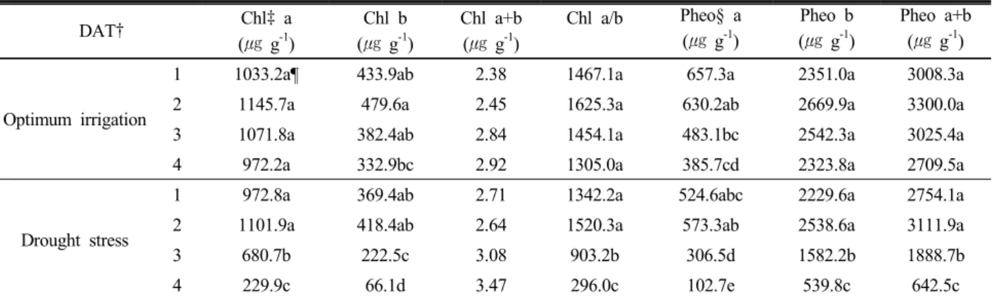 Fig. 3. Changes in photosynthesis rate, transpiration rate and  stomatal conductance after irrigation and drought stress (A: 