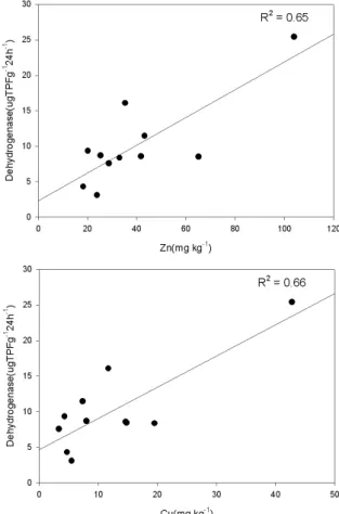 Fig. 2. Correlation between soil chemical properties(Zn,  Cu) and dehydrogenase activity in non-volcanic ash  horticultural facility soil.