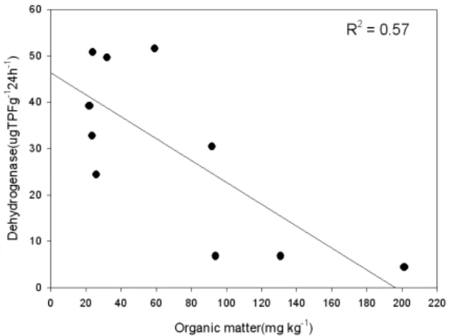 Fig. 3. Correlation between soil organic matter and  dehydrogenase activity in volcanic ash upland soil.