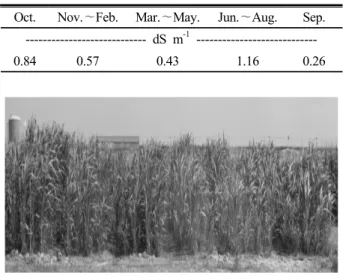 Table 3. Biomass, nitrogen production, and C/N ratio of  green manure crop.