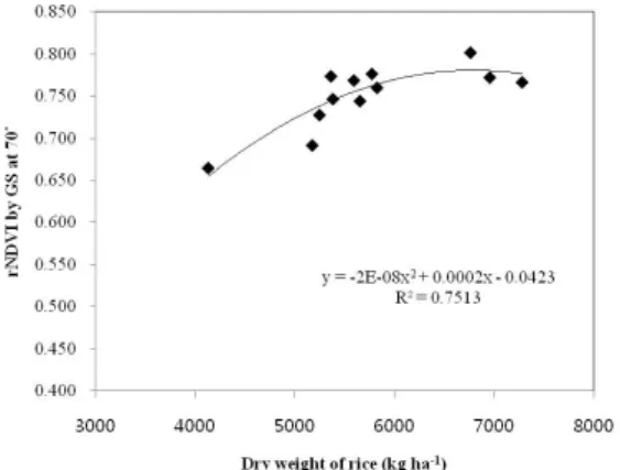 Fig. 10. Interrelationship between reflectance index at the 59  DAT and dry weight of rice, Joonam, at the harvest.