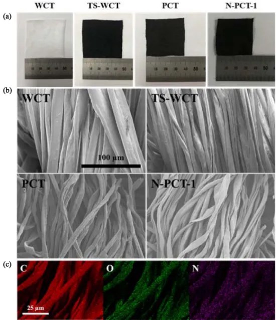 Fig. 1. (a) Digital and (b) FE-SEM images of WCT, TS-WCT, PCT, and N-PCT-1; (c) EDS mapping results of N-PCT-1.