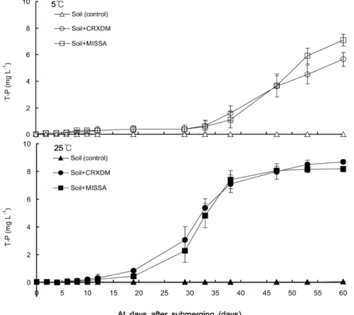 Fig. 4. Changes of T-P with submerging time after addition of raw water in column at 5℃  and 25℃  (CRXDM,  carex  dimorpholepis; MISSA, Miscantlus sacchariflorus).