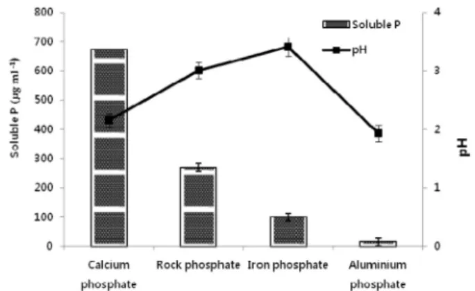 Fig. 3. Effect of different media on insoluble phosphate  solubilization by Aspergillus awamori bxq33110