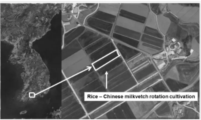 Fig. 1. Location of sampling sites in rice-Chinese milkvetch  crop rotation.
