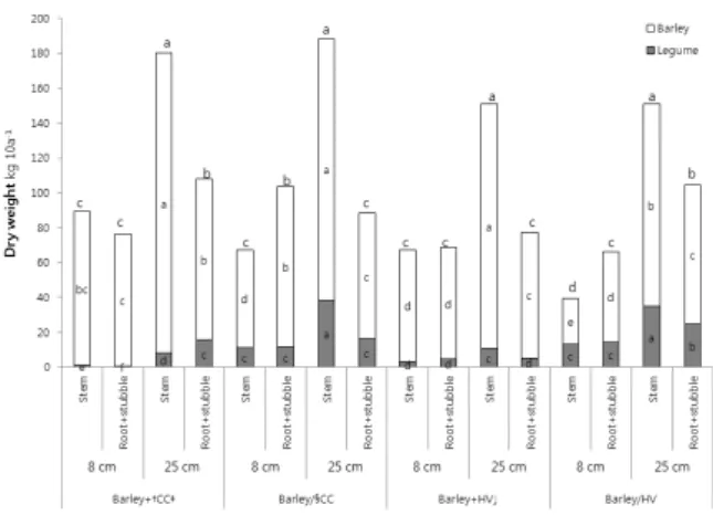 Fig. 1. Dry weight of above ground for green manure use  by different seeding methods and cutting heights