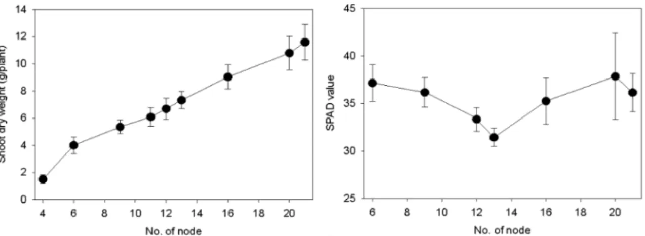 Fig. 2. Dry weight and SPAD 502 readings at different growth stages of leaf perilla.