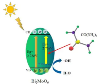 Fig. 8. Schematic diagram of BMO charge transfer, separation and interface reaction under visible light irradiation.