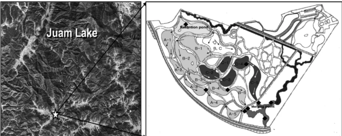 Fig. 1. Location and schematic of Juam Lake eco-wetlands. 