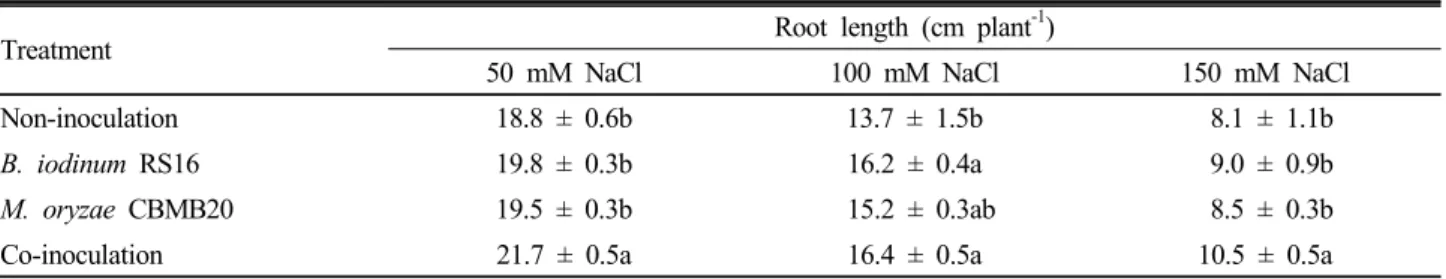 Table 5. Effect of B. iodinum RS16, M. oryzae CBMB20 inoculation on early growth of maize under different levels of salinity  stress