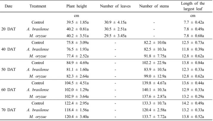 Table 2. Effect of inoculation of Azospirillum brasilense CW903 and Methylobacterium oryzae CBMB20 on red pepper  plant growth