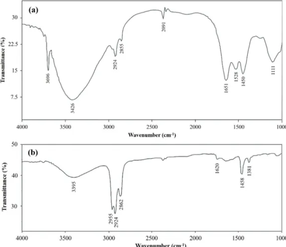 Fig. 4. FTIR spectra of (a) microalgae after extraction and (b) microwave-assisted in-situ transesterification product.