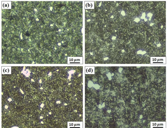 Fig. 2. OM images of STS 440C specimens austenitized at different temperatures for 1 h: (a) 950 o C, (b) 1,000 o C, (c) 1,050 o C and (d) 1,100 o C.