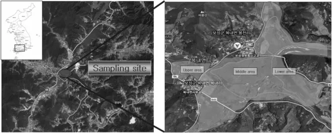 Fig. 1. Sampling sites in Boknae flood control reservoir around Juam lake.