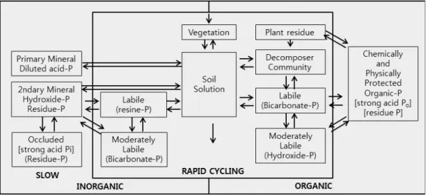 Fig. 1. Schematic overview of different phosphorus pools in soils (Tiessen et al. 1984).