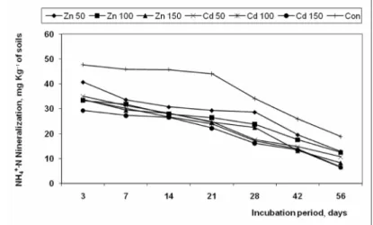 Fig. 1. NH 4 +