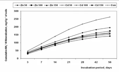 Fig. 3. Cumulative NH 4 +