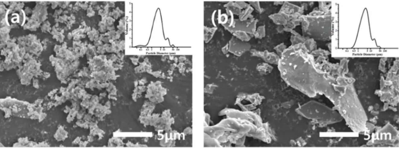 Fig. 6. FE-SEM microstructures of YAG powder synthesized at 1,000 o C with PVA (Mw. 146,000 - 186,000) content of (a) 2:1 and (b) 4:1 ratio (milling time : 12 h).