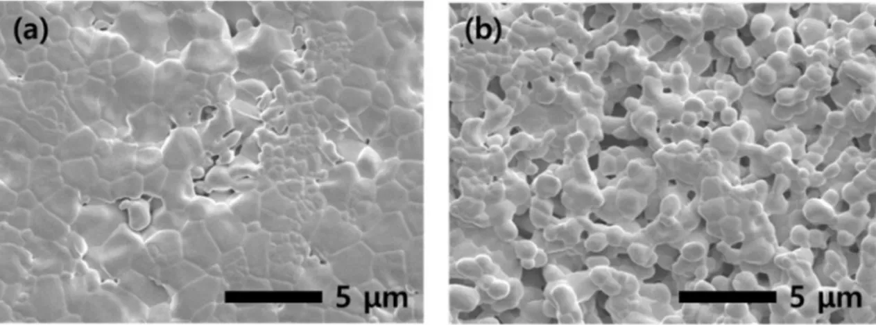 Fig. 7 and Fig. 8 show the SEM microstructures of the surface of sintered YAG according to the PVA molecular weight and the addition amount