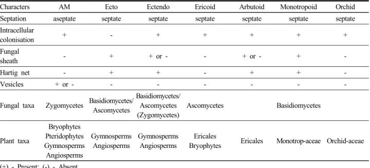 Fig.  2.  Zone of coverage by rhizosphere and mycorrhizosphere in the soil around the root