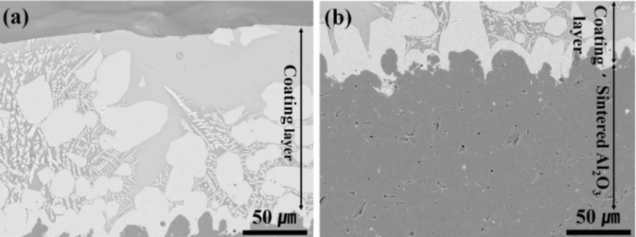 Fig. 6. Microstructure of YAS coating layer after anti-plasma test.