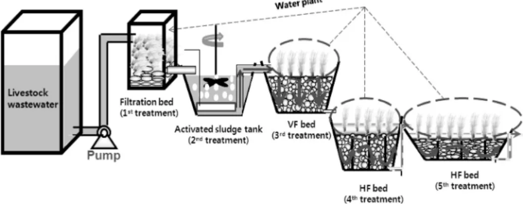 Fig. 2. Diagrams of constructed wetlands with water plant filtration and activated sludge beds for treating livestock wastewater.쇄석  및  방해석을  3:2:1로  혼합한  여재를  사용하였고,  혐기성조의  경우  왕사,  쇄석  및  제올라이트를  3:2:1로  혼합한 여재를 사용하였다