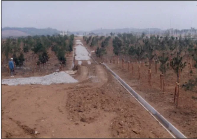 Fig. 1. Soil covering experiment site before construction. Fig. 2. Soil covering experiment site after construction.