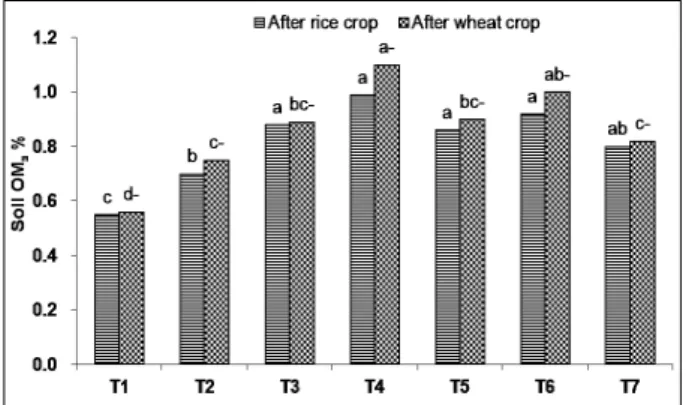 Fig.  5.  Effect of compost and gypsum on soil phosphorous  after rice and wheat crops