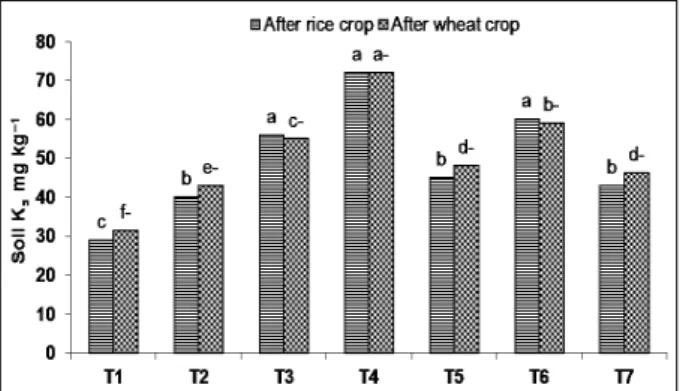 Fig.  6.  Effect of compost and gypsum on soil potassium  after rice and wheat crops. The bars sharing the same letters  are statistical similar according to Duncan Multiple Range  Test (DMRT) at P <0.05.