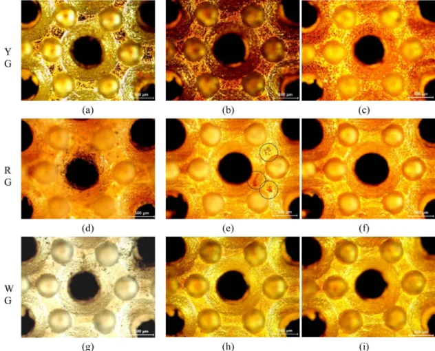 Fig. 5 shows microstructure images of different alloys according to stripping time. Those are the magnified by 50 times image of the areas in the dotted lines in Fig