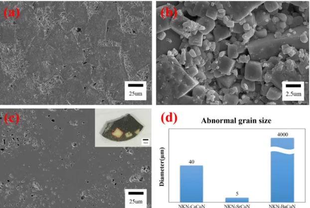 Fig. 6. SEM images of NKN-MCuN (M = (a) Ca, (b) Sr and (c) Ba) sintered at 1,125 o C for 10 h and the graphs for abnormal grain size of NKN-MCuN.