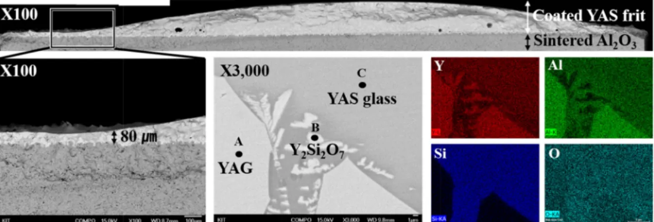 Fig. 5. Microstructure showing infiltration of YAS frit into Al 2 O 3  substrate during melt-coating process using YAS-A3 frit.