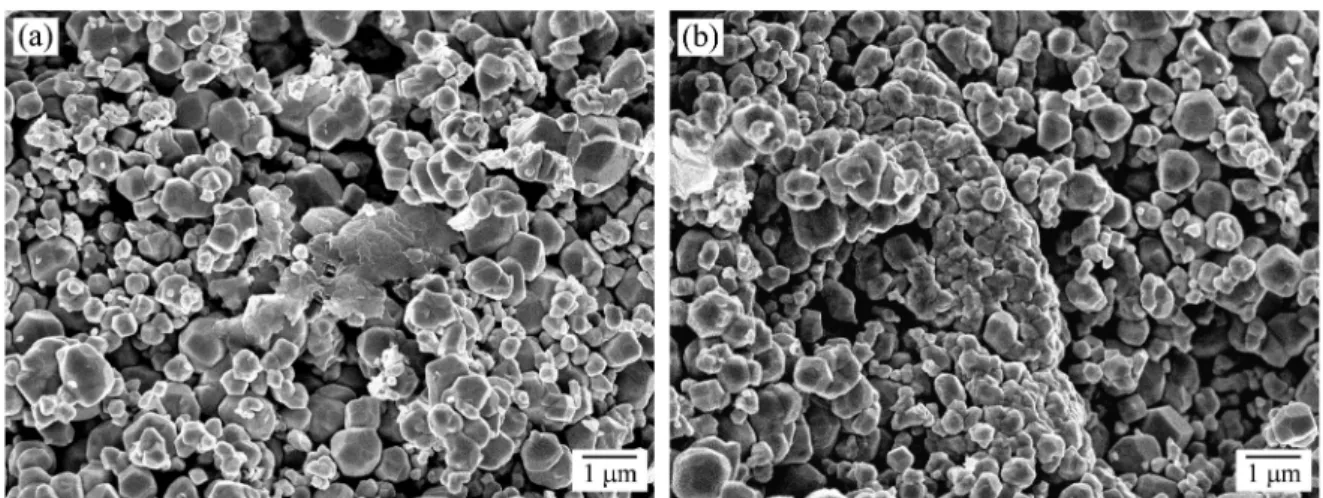 Fig. 3. SEM micrographs of W compacts prepared by MPC with an applied pressure of (a) 2.8 GPa and (b) 3.2 GPa.