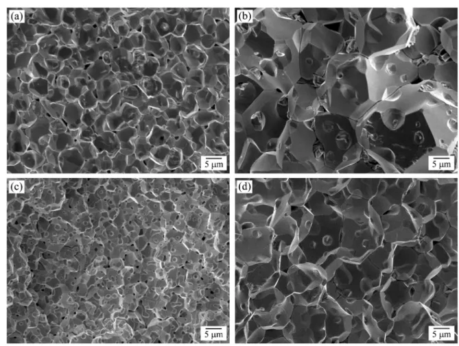 Fig. 5. SEM images of the sintered W, prepared by SPS of raw powders (a and b) and SPS of MPC compacts (c and d)