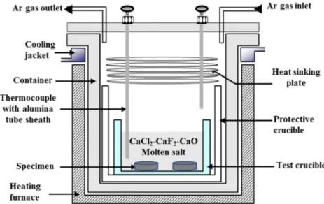 Fig. 1. Schematic diagram of the high-temperature stability experiment used for the YSZ specimens.