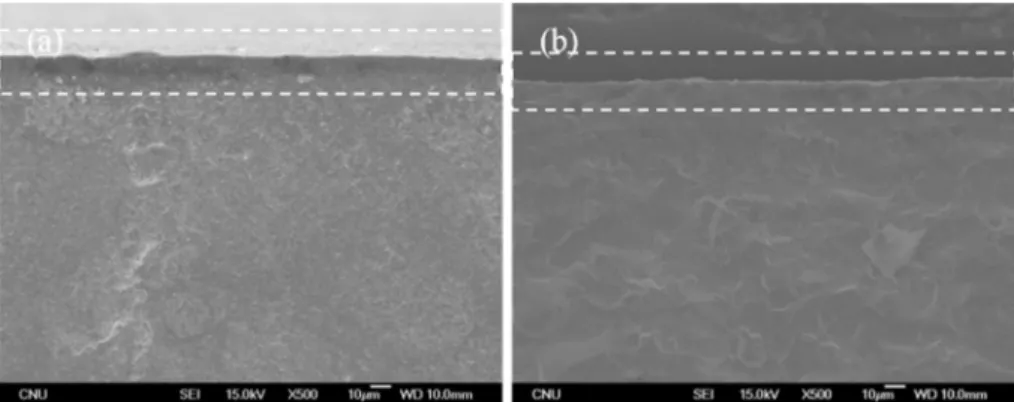 Fig. 4. Surface SEM images of YSZ specimen by die press (a) and CIP (b) sintered at 1,500 °C for 2 h