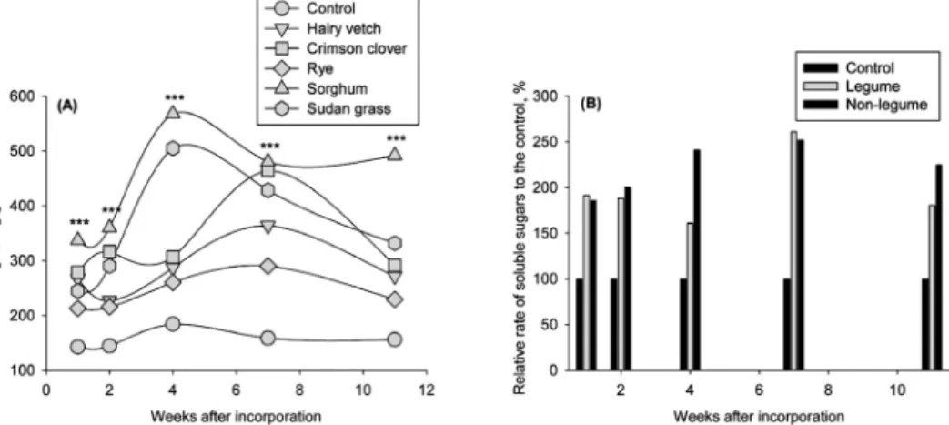 Fig. 2. Temporal changes in soil soluble sugars (A) after the incorporation of green manure crops and relative rates (B)  of soluble sugars of legume and non-legume to the control