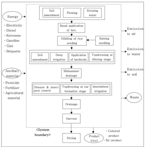 Fig. 2. System boundary, relevant inputs and outputs of a rice production system (Gate to gate)