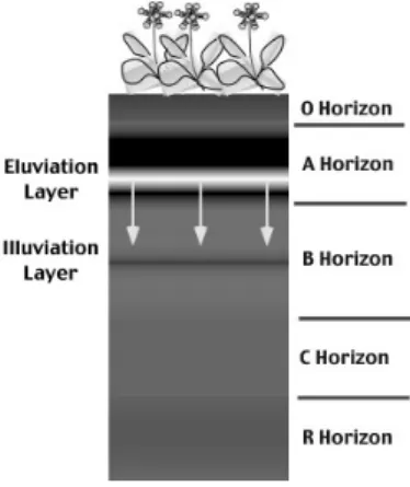 Fig. 1. Typical layers found in a soil profile.