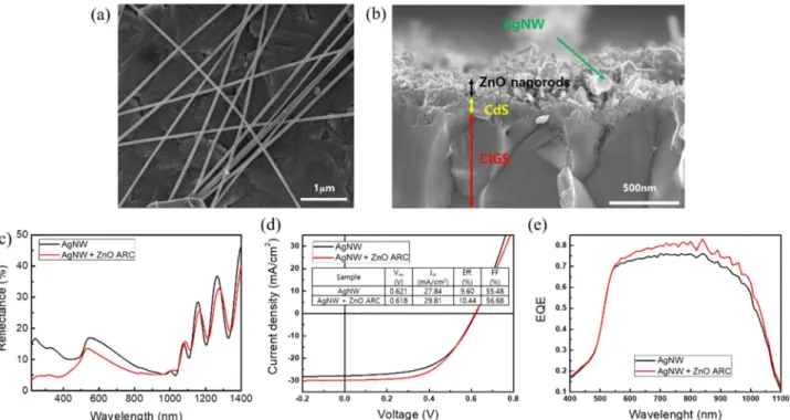 Fig. 3. (a) A plain SEM image of AgNWs on CdS/CIGS (b) a cross sectional SEM image of ZnO nanorod/AgNW composite on CdS/