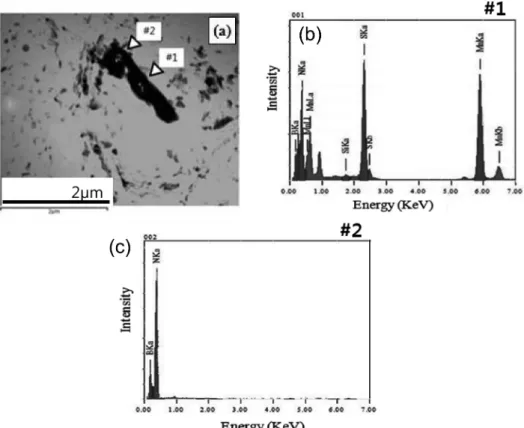 Fig. 7. TEM micrograph(a) and EDS analysis result of #1(b) and #2(c) of precipitate formed after heat treatment of quenching at 890 o C and tempering at 350 o C