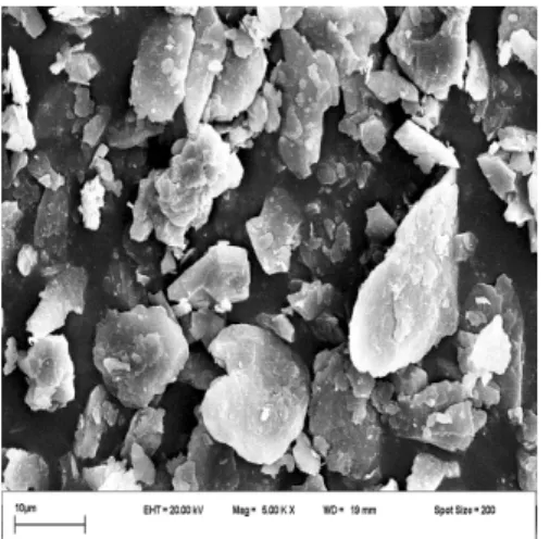 Table 3. Physical and chemical changes according to the treatment of particulate and powdered illite.