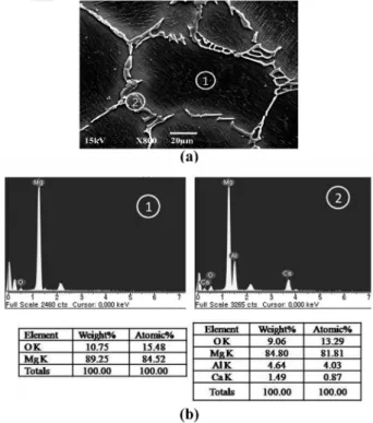 Fig. 8. The results of SEM-EDS analysis of cell microstructure of AZ31 Mg alloy foam of foaming temperature of 720 o C, (a) SEM micrographs of the AZ31 Mg alloy foam and (b) EDS of the AZ31 Mg alloy foam.