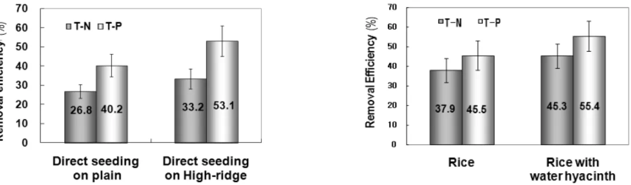 Table 7. Amounts of effluents from rice paddy area using free range ducks (2007) or bran (2008) during purifying paddy field operating.