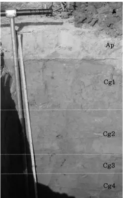 Table 1. Soil profile description of the experimental site.